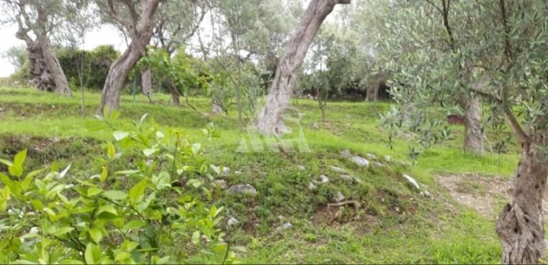 Terreno a Bar, Montenegro, 2 908 m2 - foto 2