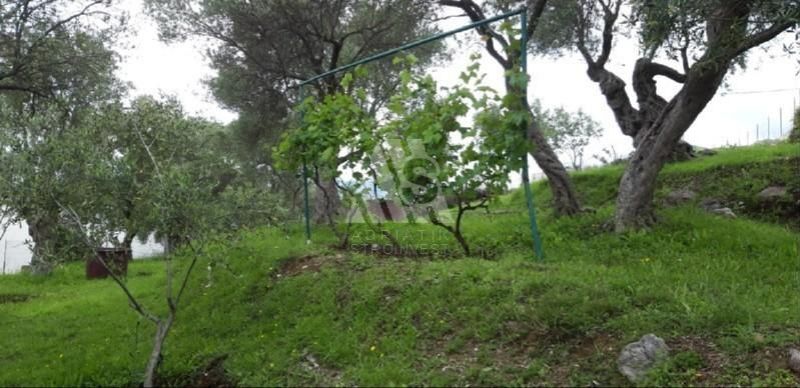 Terreno a Bar, Montenegro, 2 908 m2 - foto 3