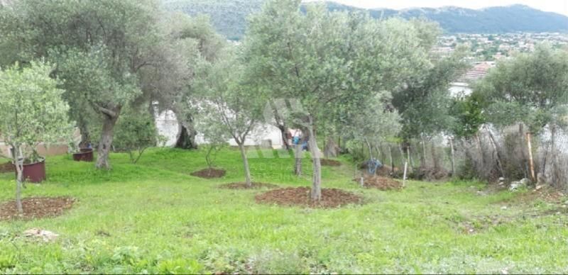 Terreno a Bar, Montenegro, 2 908 m2 - foto 4