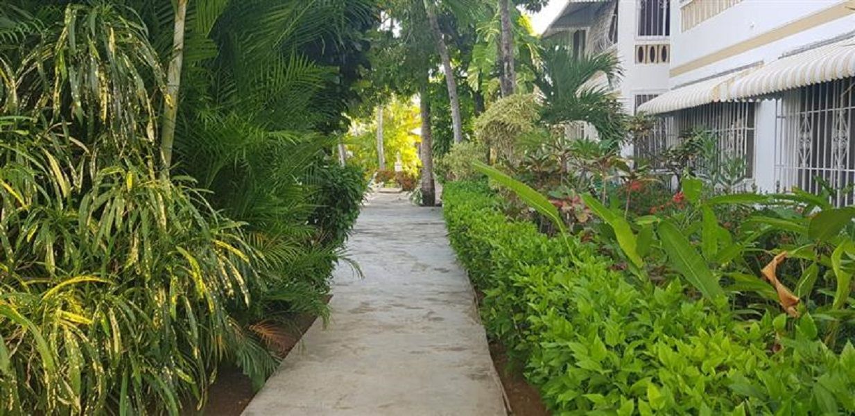 Apartment in Sosua, Dominican Republic, 62 m² - picture 3