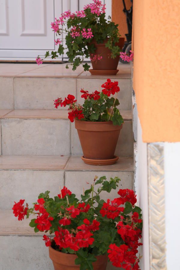 Hôtel à Sutomore, Monténégro, 650 m² - image 11