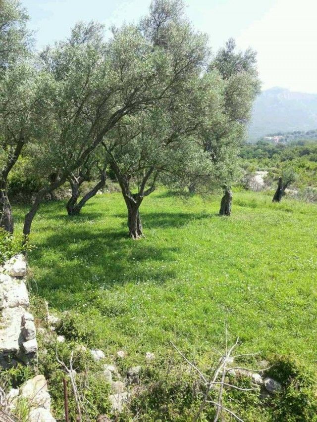 Land in Bar, Montenegro, 809 m² - picture 2