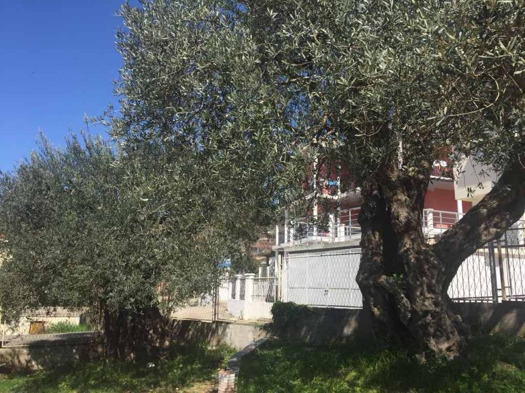 House in Bar, Montenegro, 200 m² - picture 2