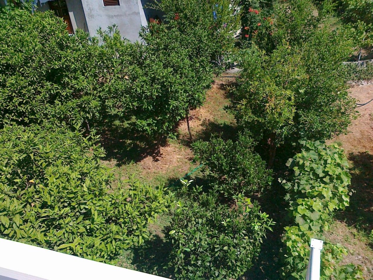 Haus in Herceg-Novi, Montenegro, 240 m² - Foto 6