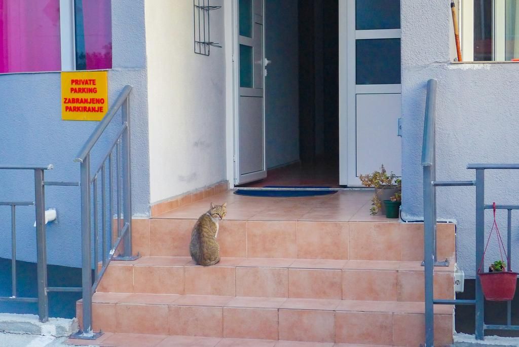 Hôtel à Šušanj, Monténégro, 360 m² - image 17