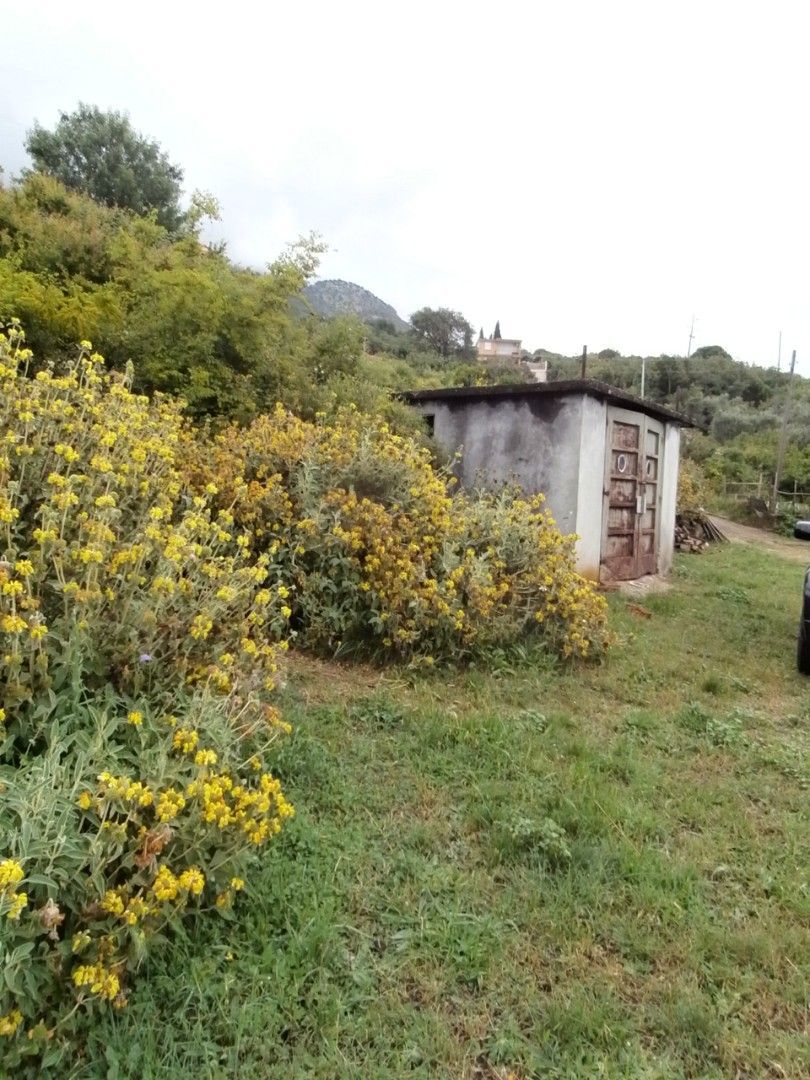 Land in Dobra Voda, Montenegro, 7 662 m² - picture 3