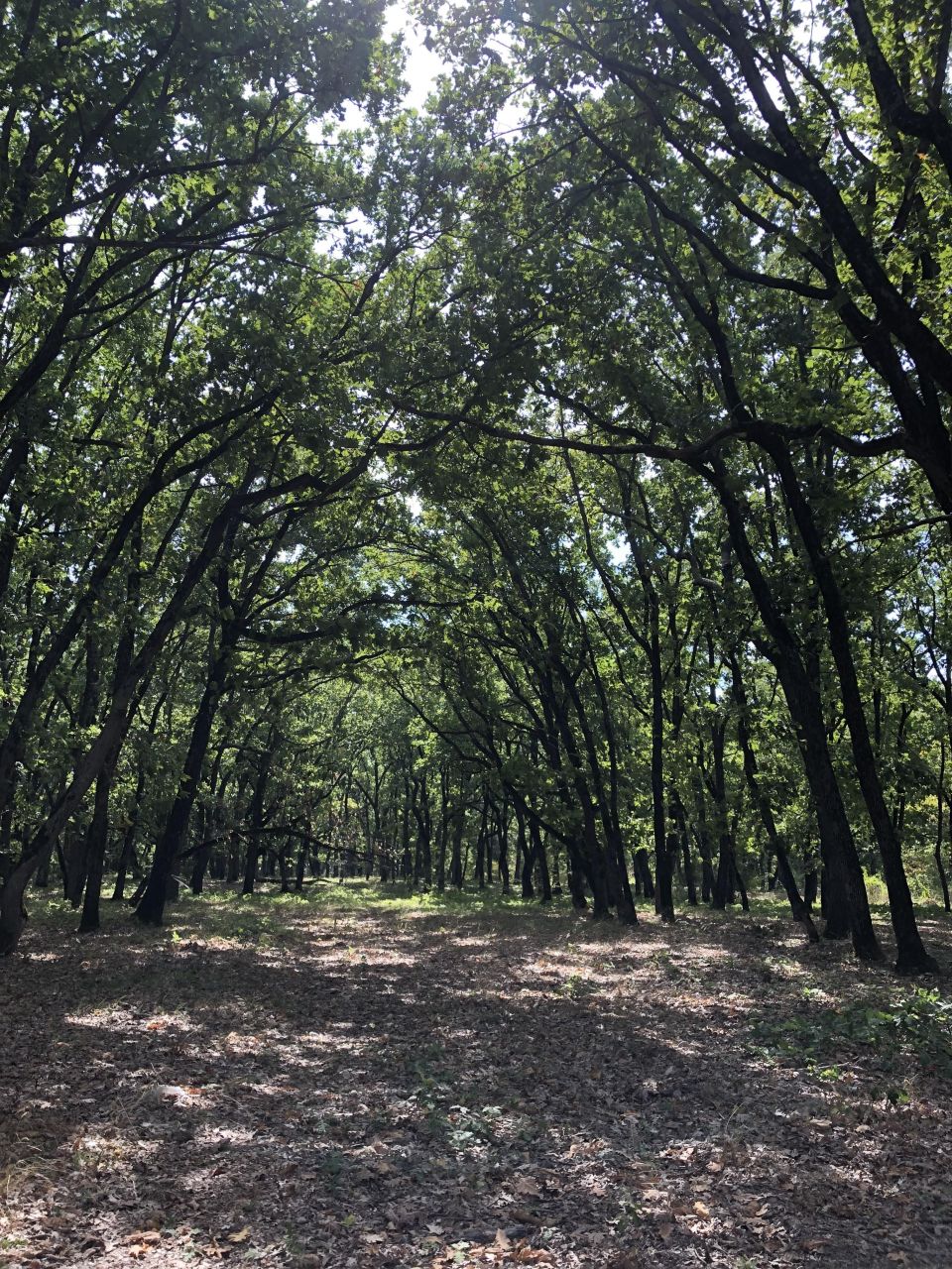 Estudio en Primorsko, Bulgaria, 35 m² - imagen 12