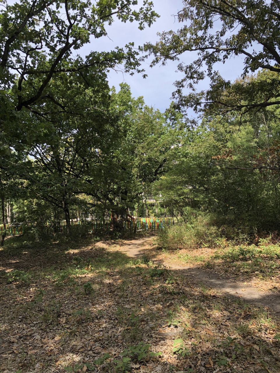 Estudio en Primorsko, Bulgaria, 35 m² - imagen 16