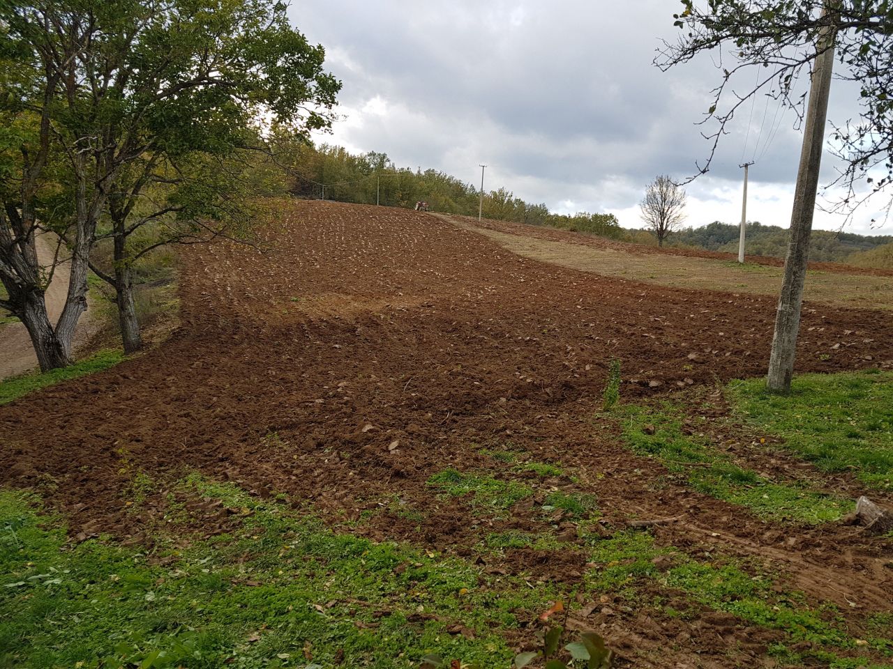 Terreno en Niš, Serbia, 10 ha - imagen 4