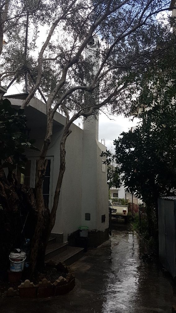 Haus in Bar, Montenegro, 220 m² - Foto 13