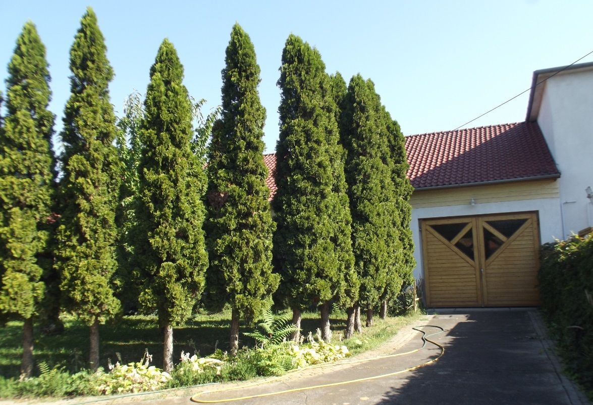 Industrial in Kerepes, Hungary, 10 755 m² - picture 5