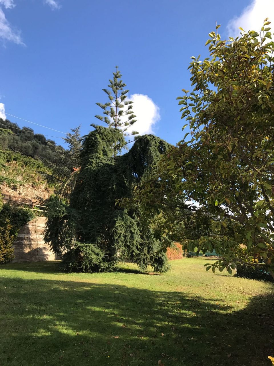 Casa a Arma di Taggia, Italia, 330 m² - foto 16