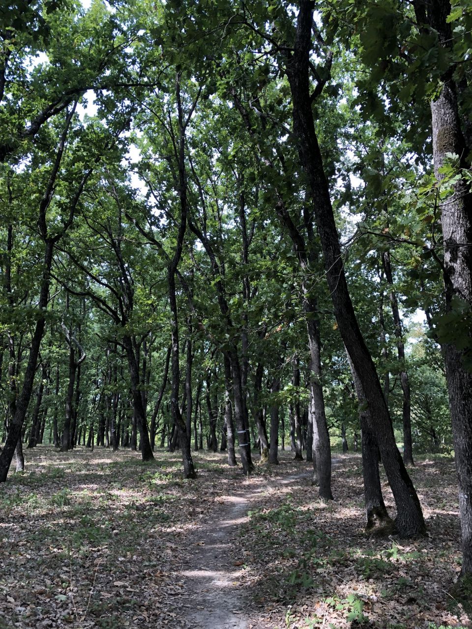 Studio in Primorsko, Bulgarien, 35 m² - Foto 15