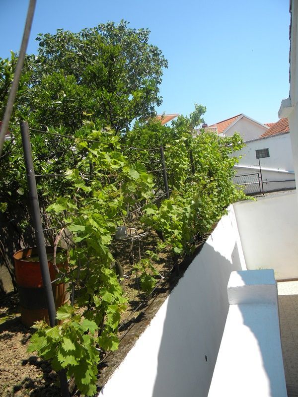 Hotel, albergo a Igalo, Montenegro, 440 m² - foto 14