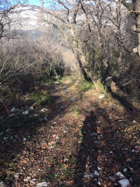 Terreno a Bar, Montenegro, 1 000 m2 - foto 4