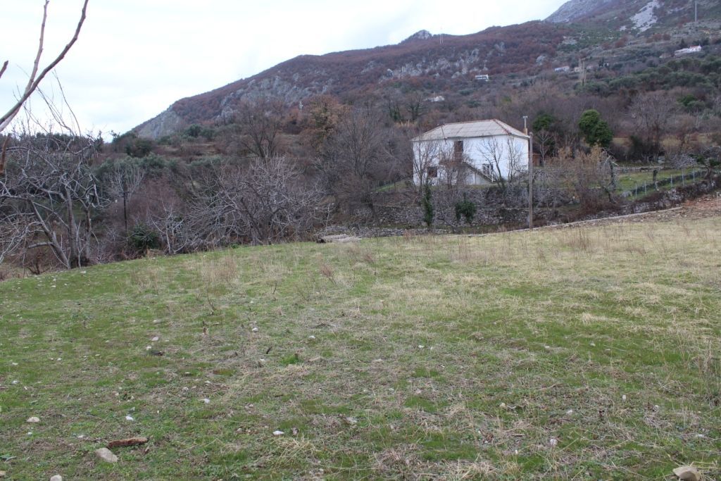 Terreno a Dobra Voda, Montenegro, 6 400 m2 - foto 4