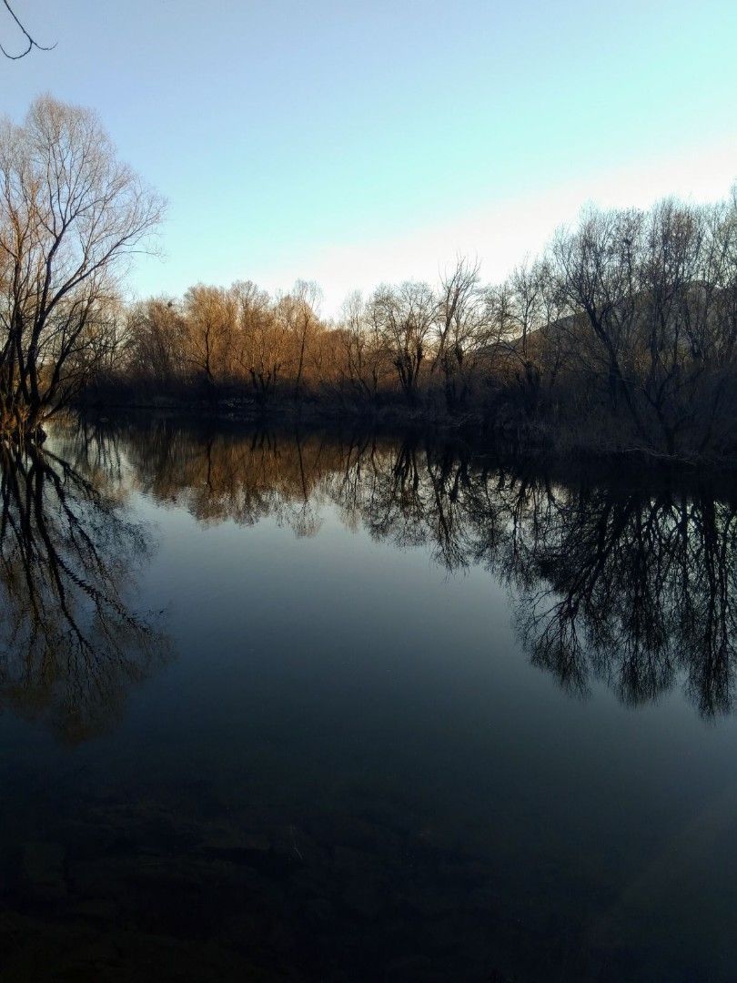 Terrain par le Lac Skadar, Monténégro, 11 000 m² - image 3