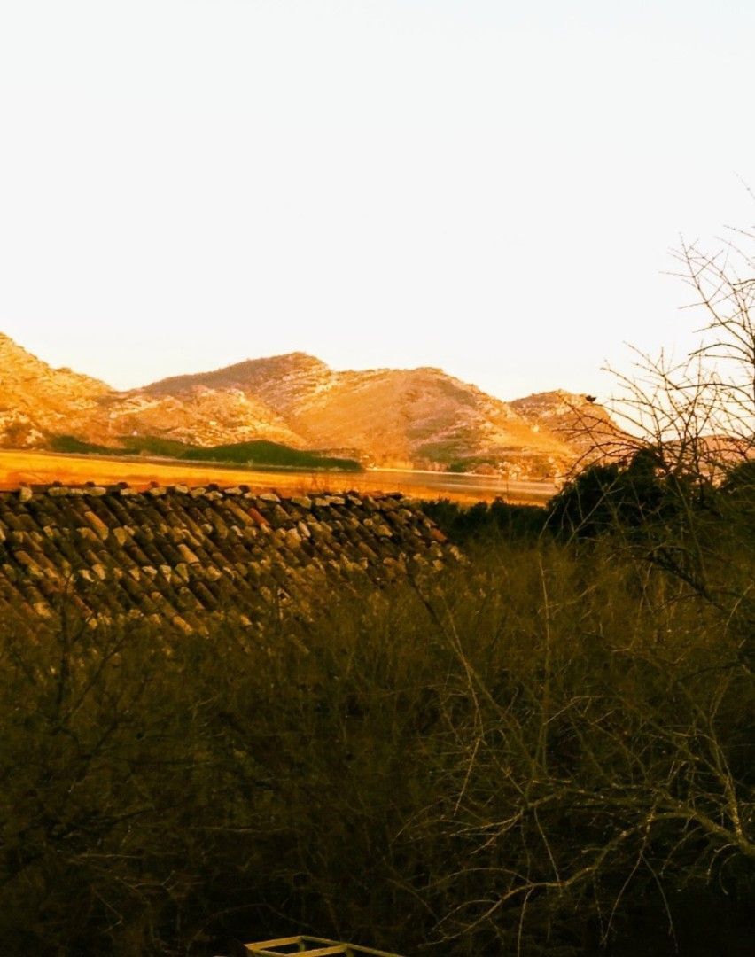 Terrain par le Lac Skadar, Monténégro, 11 000 m² - image 4