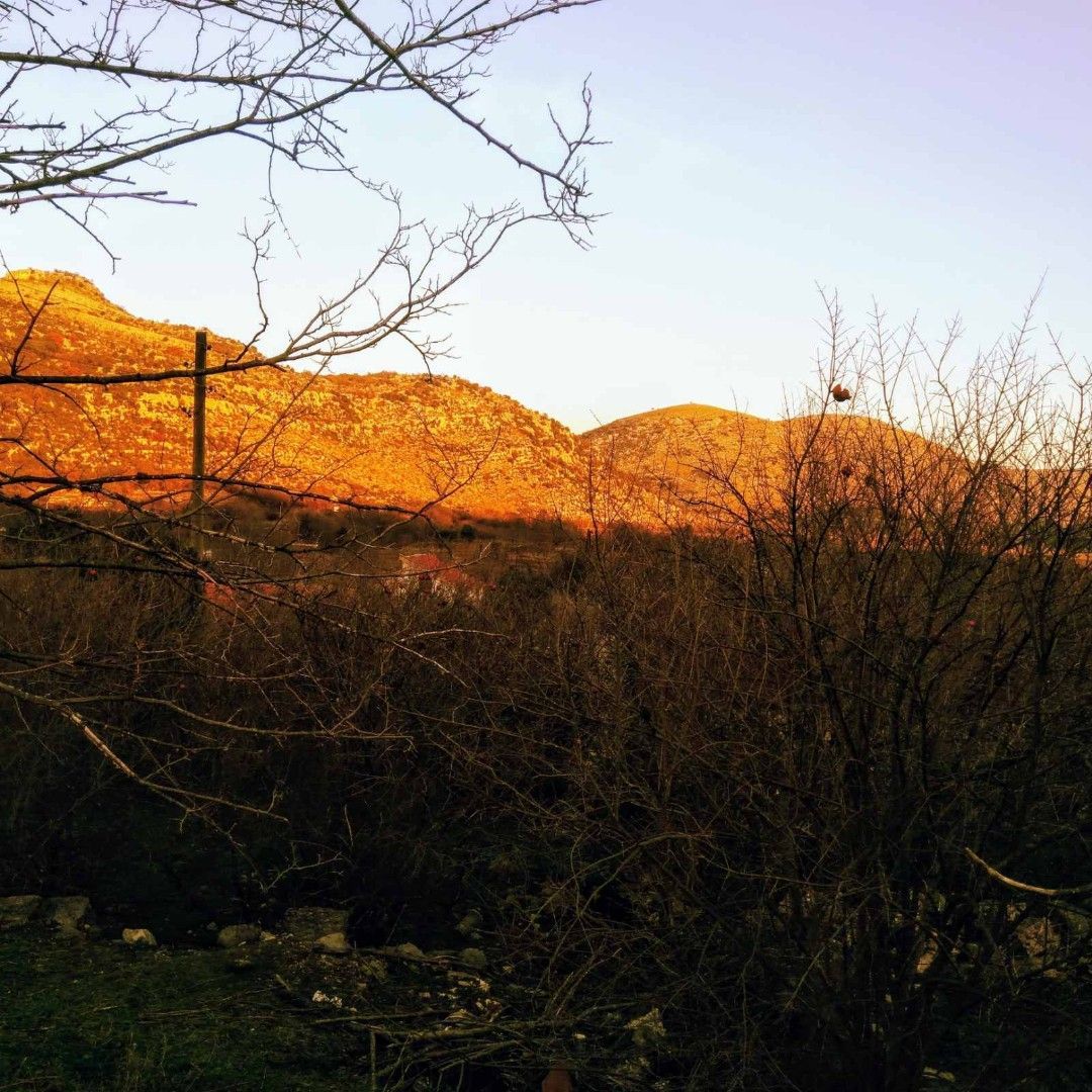 Terrain par le Lac Skadar, Monténégro, 11 000 m² - image 8