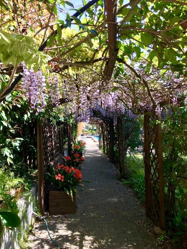 Villa in San Remo, Italy, 300 m² - picture 9