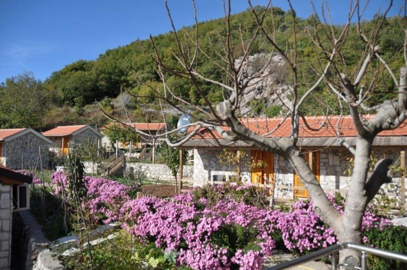 Hôtel à Budva, Monténégro, 550 m² - image 5