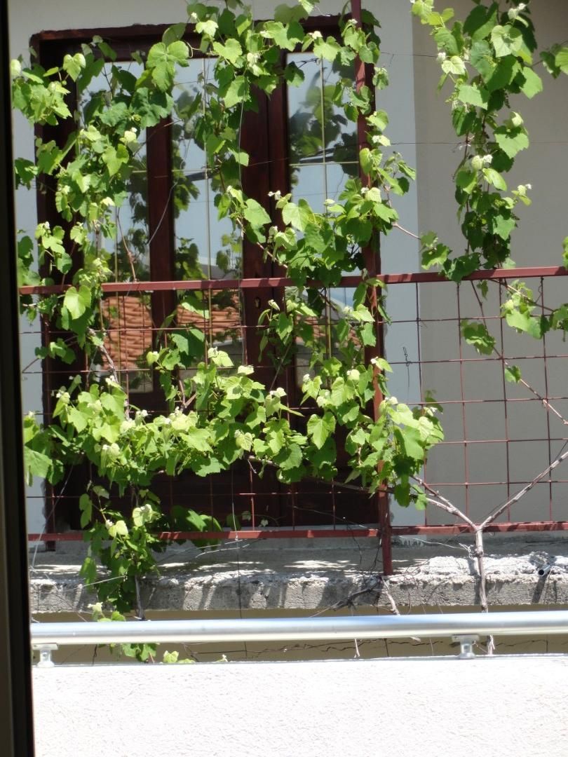 Hôtel Ratats, Monténégro, 1 124 m² - image 14