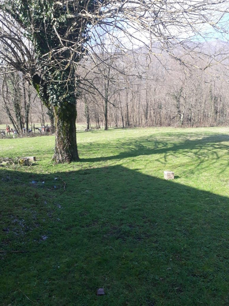 Land in Danilovgrad, Montenegro, 2 ha - picture 6