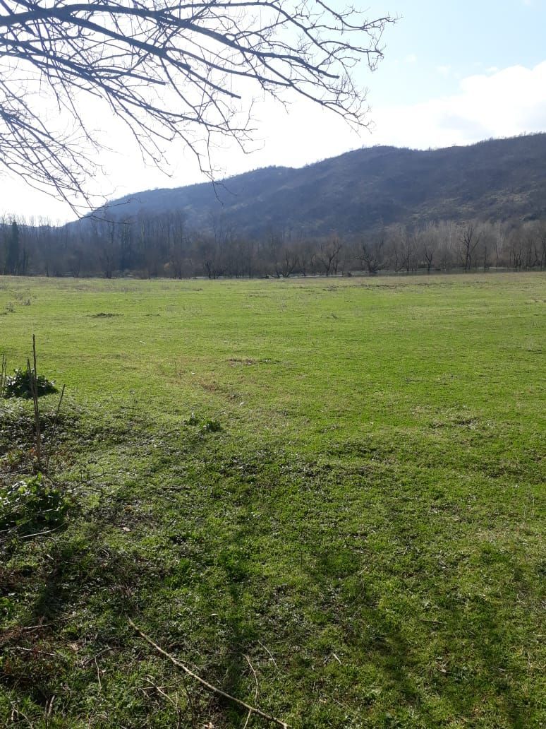 Land in Danilovgrad, Montenegro, 2 ha - picture 5