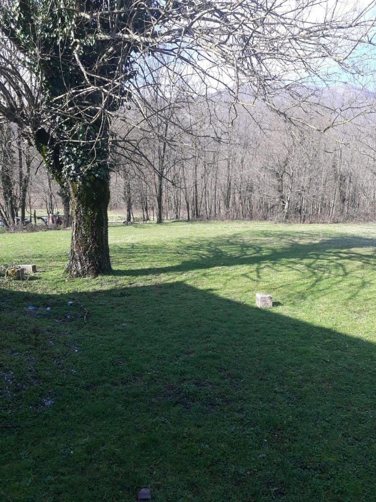 Land in Danilovgrad, Montenegro, 2 ha - picture 11