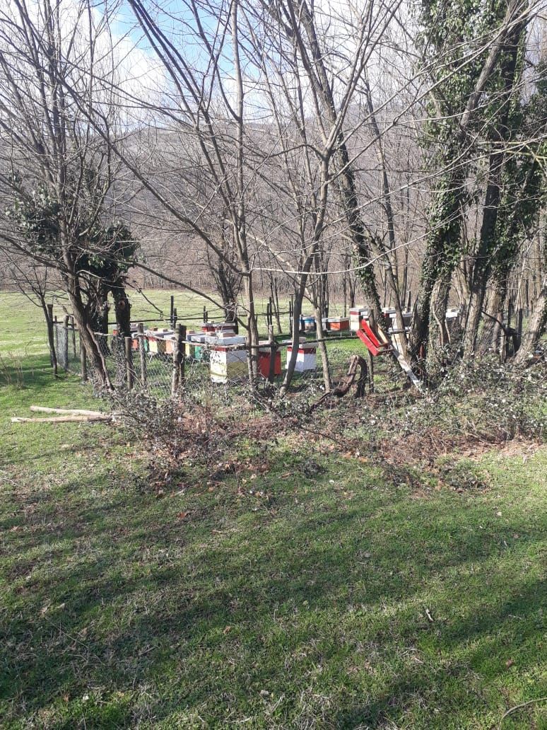 Land in Danilovgrad, Montenegro, 2 ha - picture 14