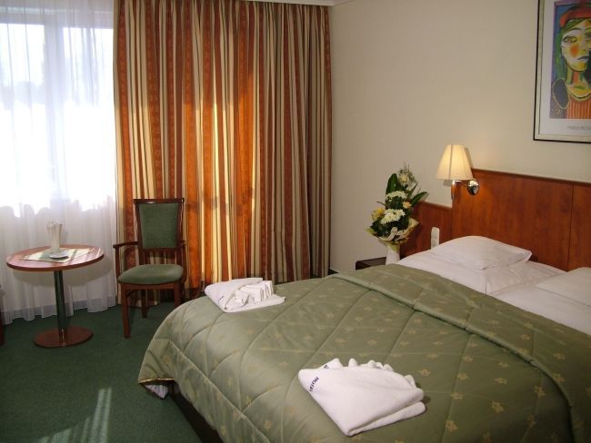 Hotel in Nyiregyhaza, Hungary, 17 000 m² - picture 2