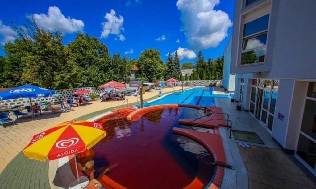 Hotel in Nyiregyhaza, Hungary, 17 000 m² - picture 6