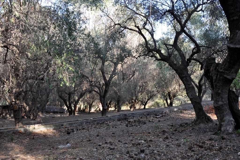 Domaine à San Remo, Italie, 832 m² - image 14