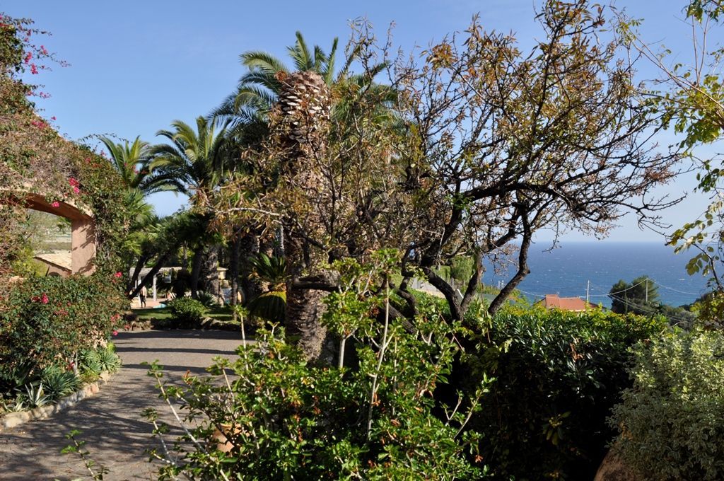 Domaine à San Remo, Italie, 832 m² - image 15