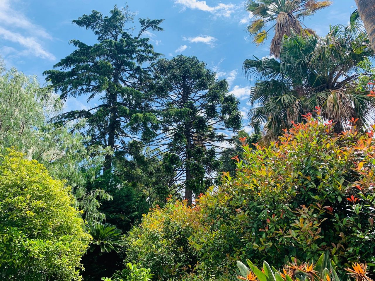 Villa a San Remo, Italia, 315 m² - foto 4