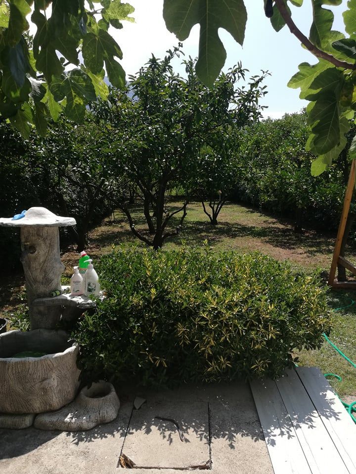 Casa a Bar, Montenegro, 1 200 m2 - foto 12