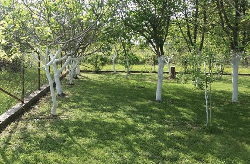 Land in Ulcinj, Montenegro, 850 m² - picture 4