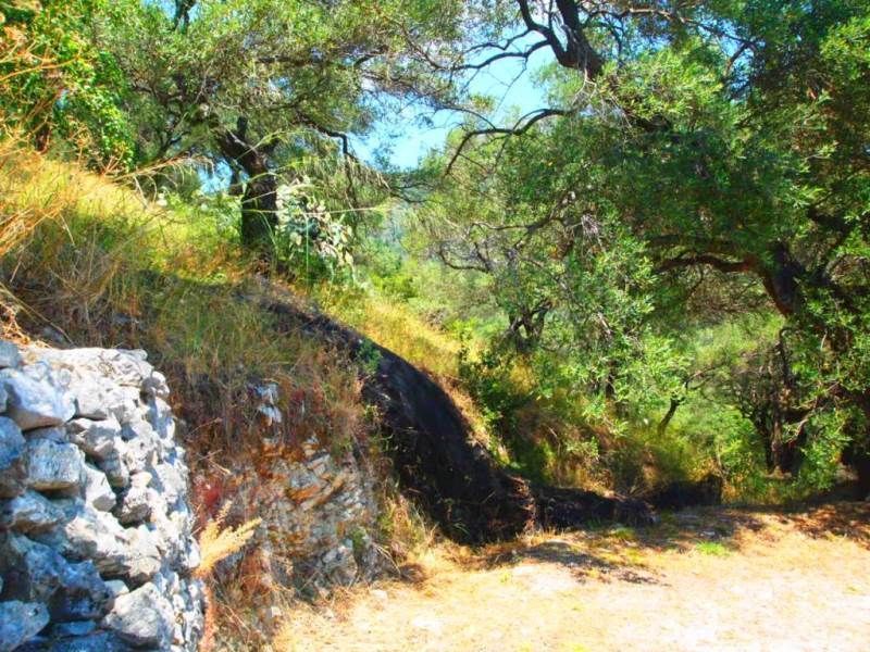 Terrain sur Corfou, Grèce - image 2