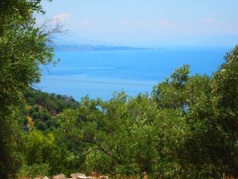Terrain sur Corfou, Grèce - image 5