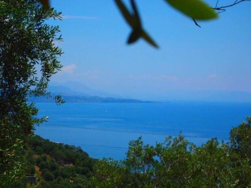 Terrain sur Corfou, Grèce - image 7