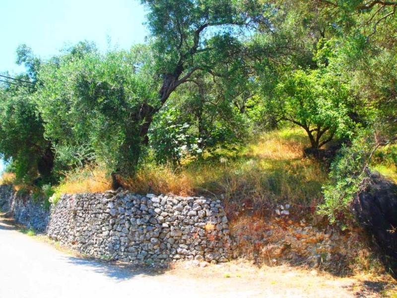 Terrain sur Corfou, Grèce - image 9