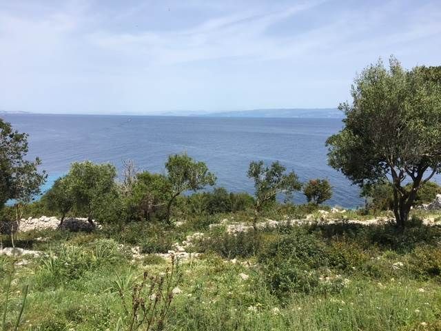 Land on Corfu, Greece - picture 1