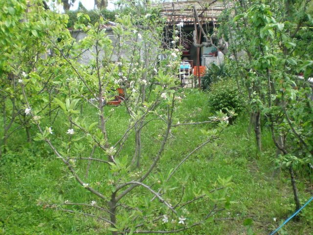 Haus in Bar, Montenegro, 129 m² - Foto 10