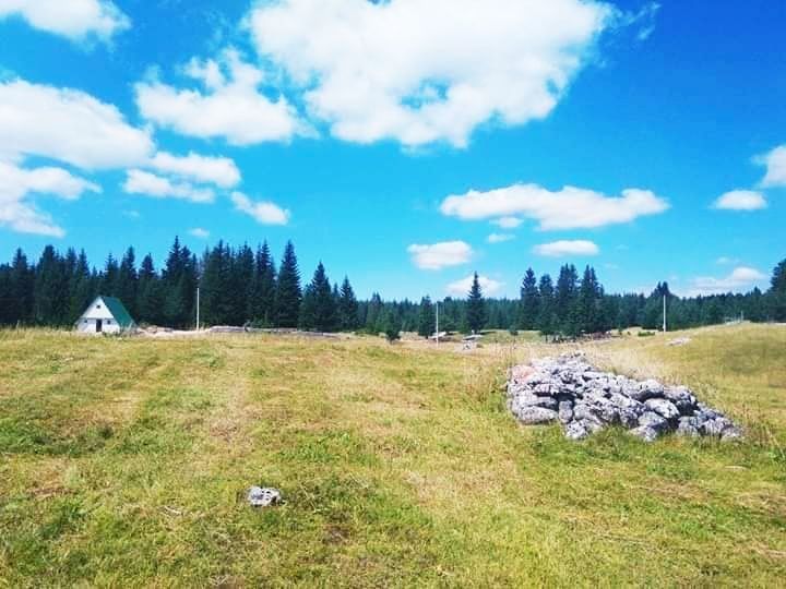 Terrain à Kolasin, Monténégro, 7 ha - image 18