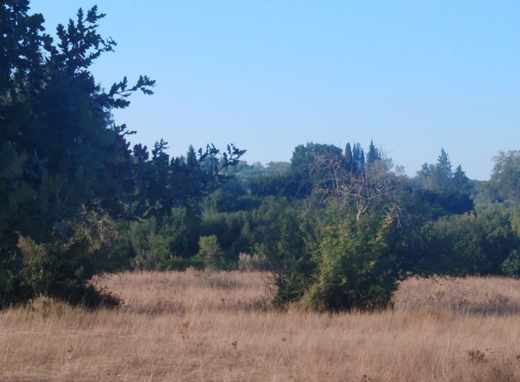 Grundstück in Insel Korfu, Griechenland - Foto 3