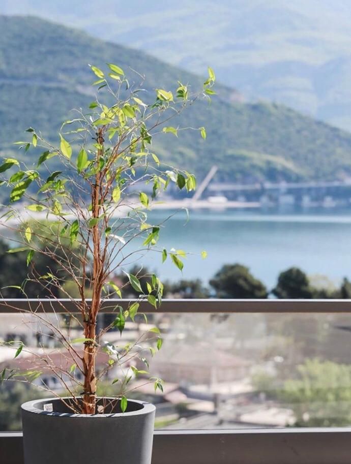 Hôtel à Budva, Monténégro, 860 m² - image 13