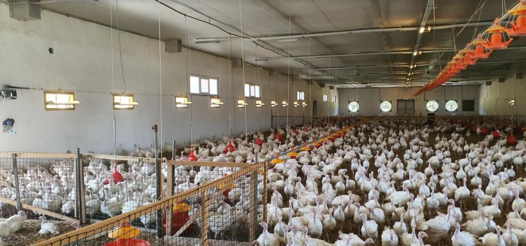 Progetto d’investimento a Zala, Ungheria, 3 750 m² - foto 9