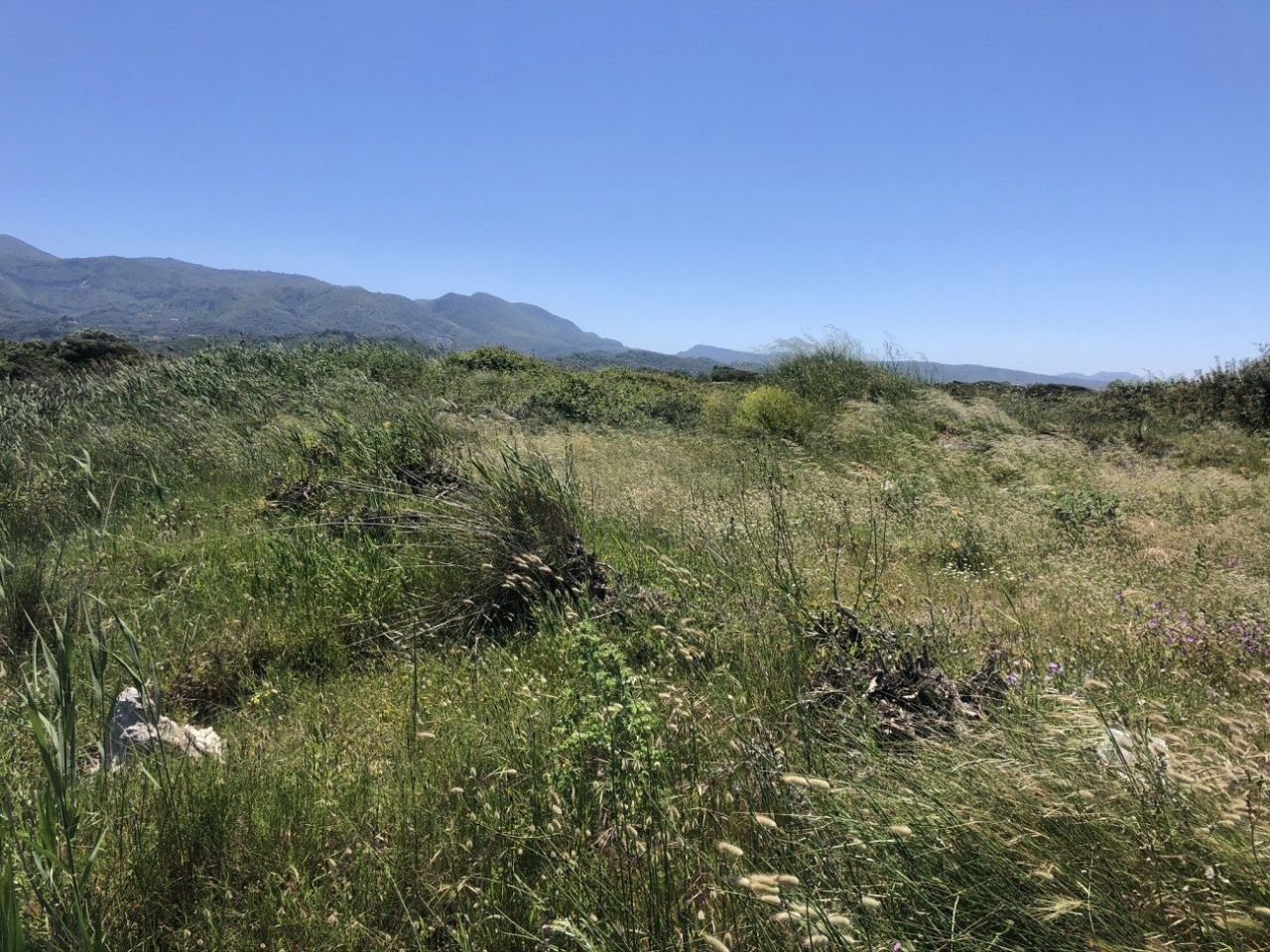 Terreno en Corfú, Grecia - imagen 5