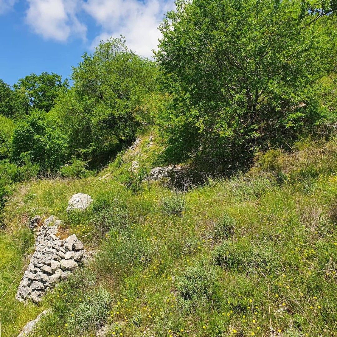 Land in Kotor, Montenegro, 4 160 m² - picture 2