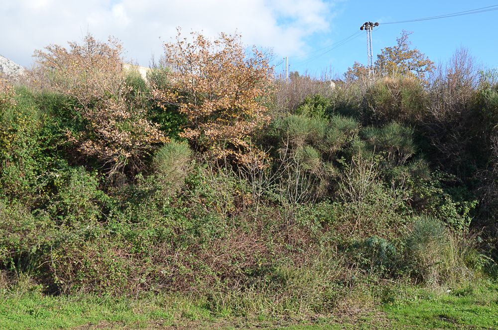 Terrain à Sutomore, Monténégro, 846 m² - image 3